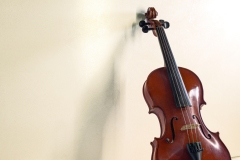 Marmorino_violino
